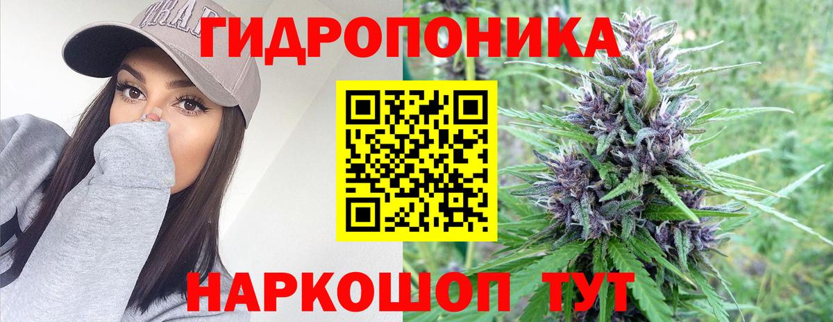 Михайловск  Шишки марихуана план  Вход с VPN  Марихуана тримм  Шишки марихуана Bruce Banner  МАРИХУАНА сатива 